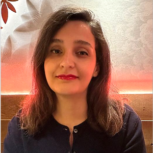 Elham Vaghefi